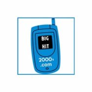 BigHit2000s Logo