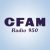 CFAM 950